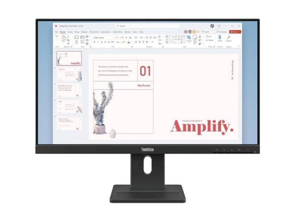 LENOVO Lenovo ThinkVision E24-40 FHD/IPS/DP 24'' Monitor