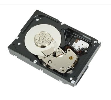 DELL 400-AUPW interna hårddiskar 3.5" 1 TB Serial ATA III